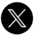 X Icon