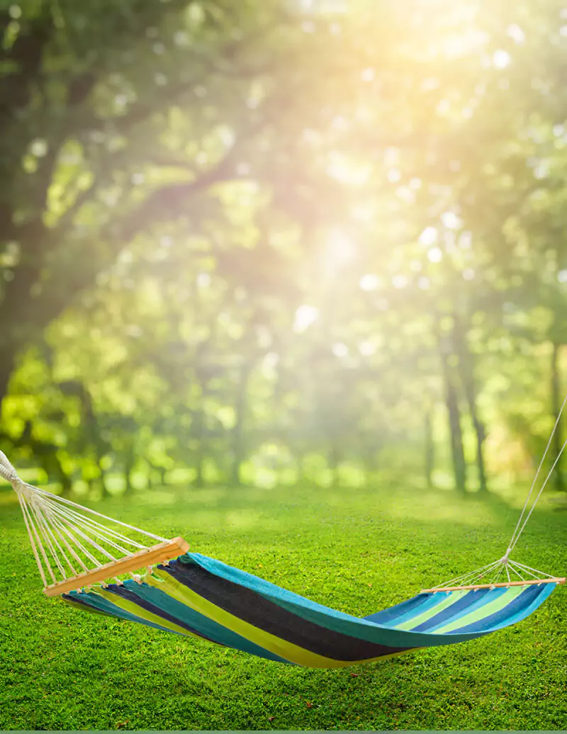 Brigade Sanctuary Hammock Garden